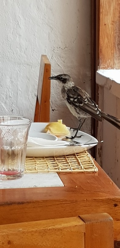 20180519_083731