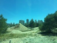IMG_6954