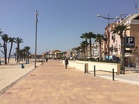 IMG_7010
