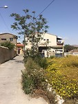 IMG_7017