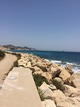 IMG_7024