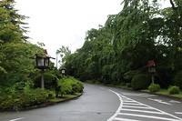 7518852048_IMG_2672