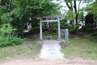 7518826848_IMG_2838