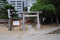 7518826848_IMG_2837