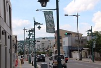 7518826848_IMG_2830