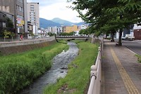 7518826848_IMG_2826