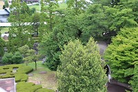 7587857824_IMG_2951