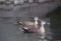 7524902176_IMG_2959