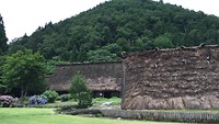 IMG_1206