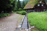 7527031584_IMG_3052