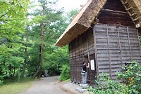 7527031488_IMG_3035