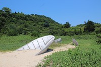 7587843568_IMG_3195