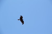 7529055872_IMG_3191