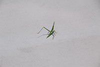 7529051648_IMG_3199