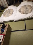 IMG_0712