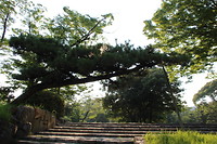 7524900208_IMG_3210