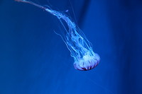 7520658432_IMG_3427