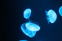 7589893584_IMG_3455