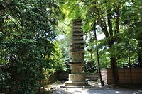 7516520288_IMG_3576