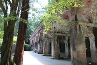 7529039792_IMG_3537