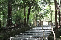 7529128400_IMG_3562