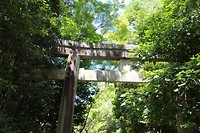 7529129072_IMG_3506