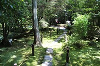7529135168_IMG_3502