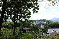 7529138000_IMG_3602