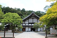 7529143568_IMG_3540