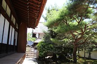 7529146496_IMG_3520