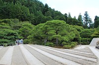 7589879232_IMG_3588