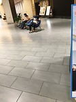 IMG_1816