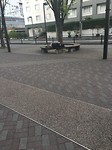 IMG_1825