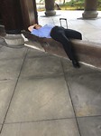 IMG_1830