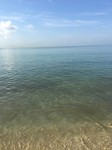 IMG_2468