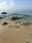 IMG_2470