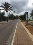 IMG_2494