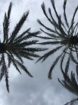 IMG_2501