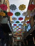 IMG_6874