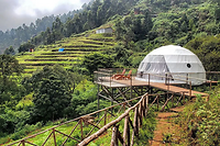 Luxeglamp-dome kodai