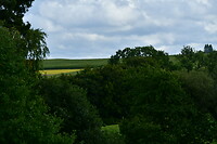 DSC_0876