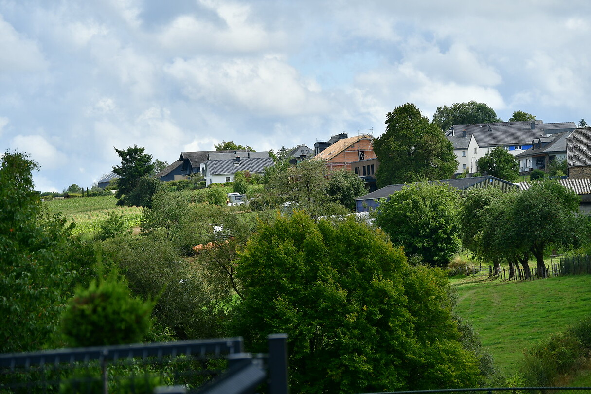 DSC_0887