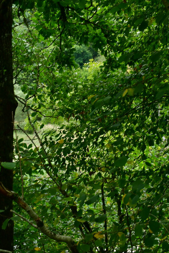 DSC_0925
