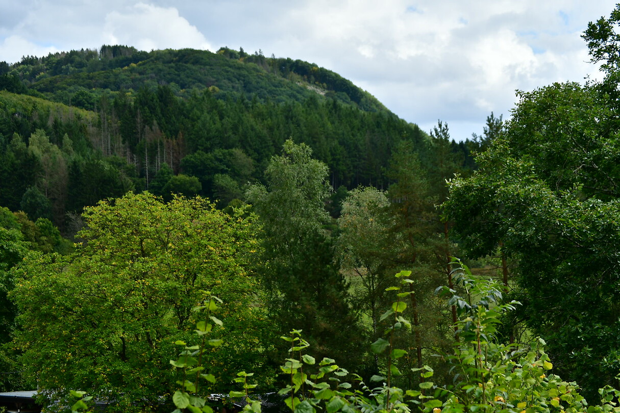 DSC_0902