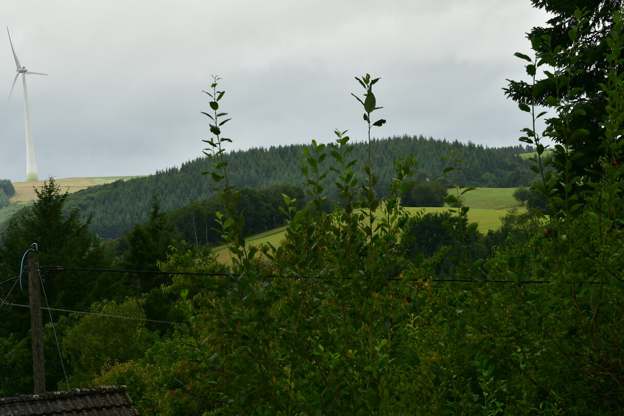 DSC_0931