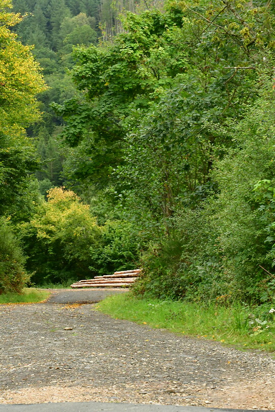 DSC_0936