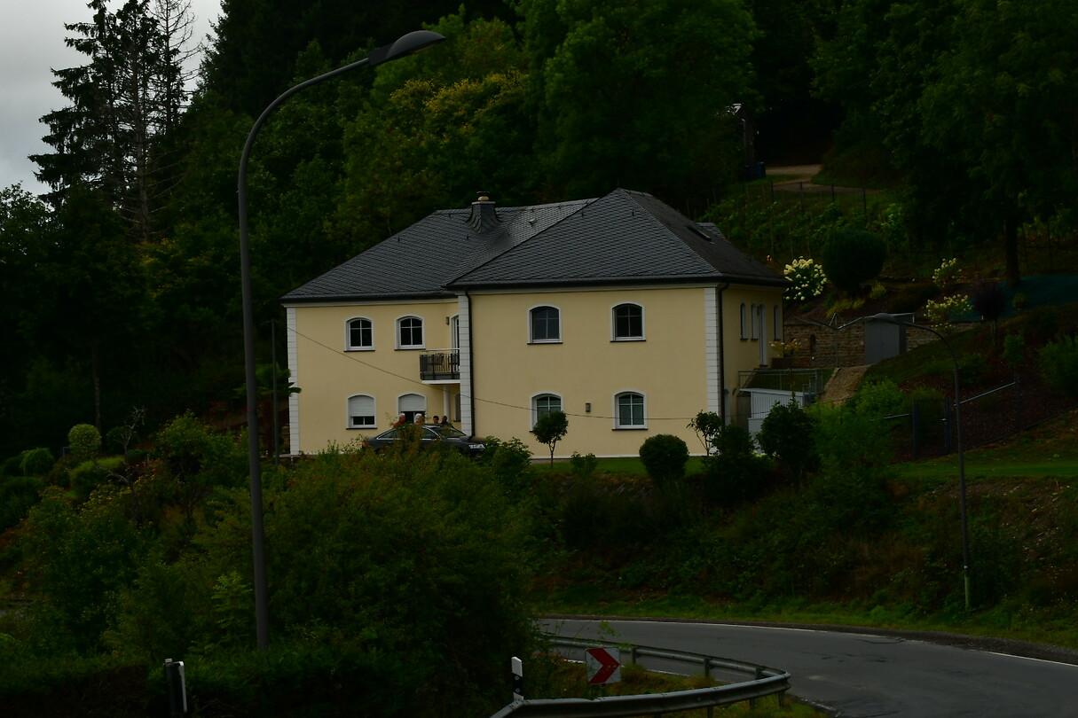 DSC_0934