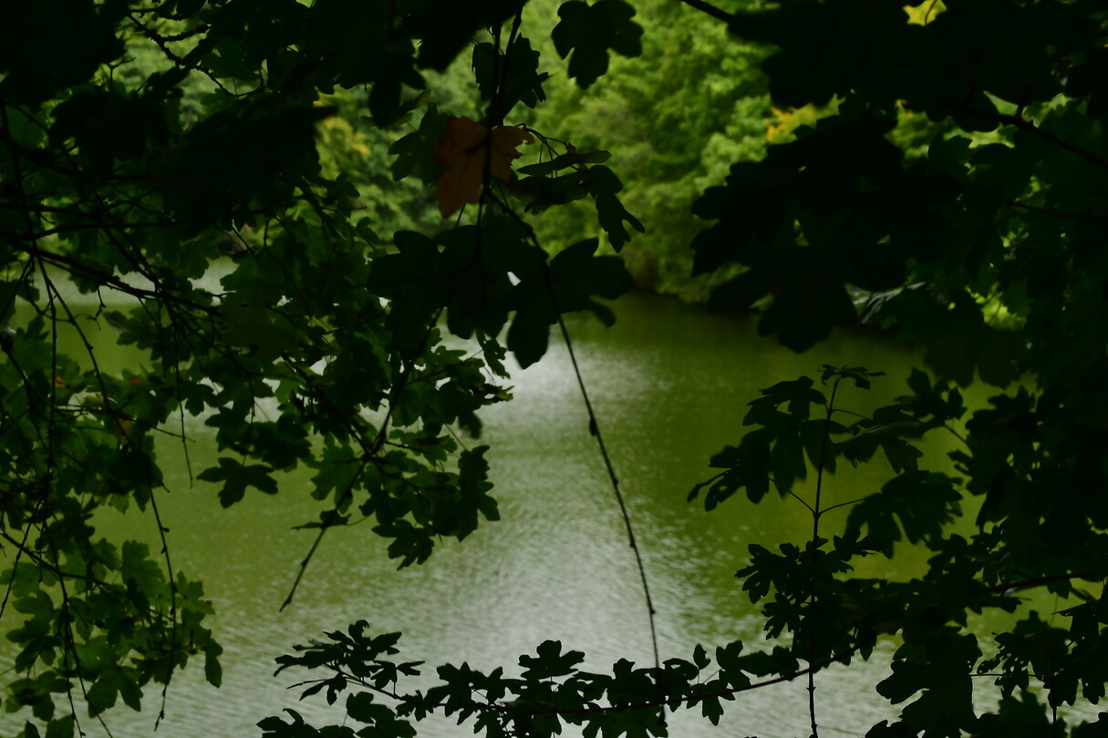 DSC_0937