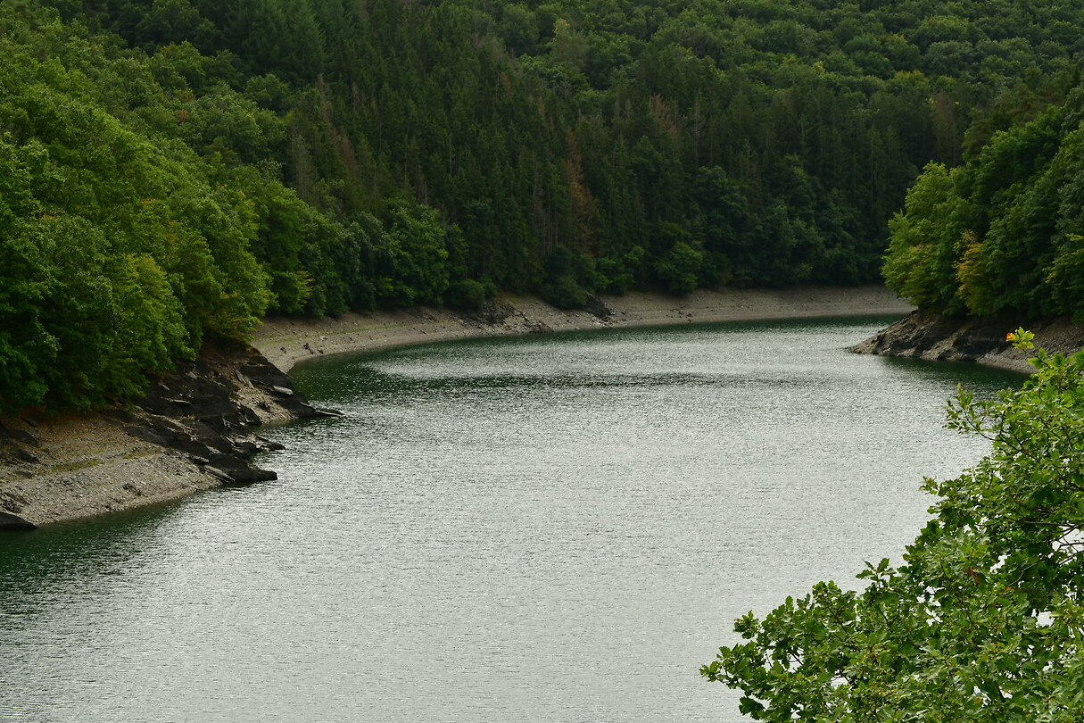 DSC_0960