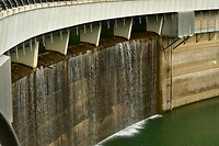 DSC_0941
